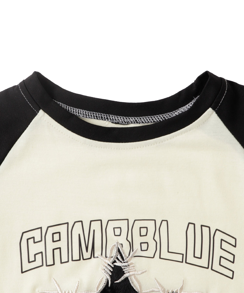 CAMBBLUEスターT