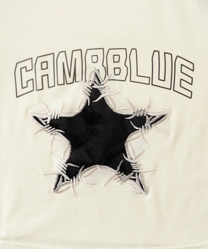 CAMBBLUEスターT