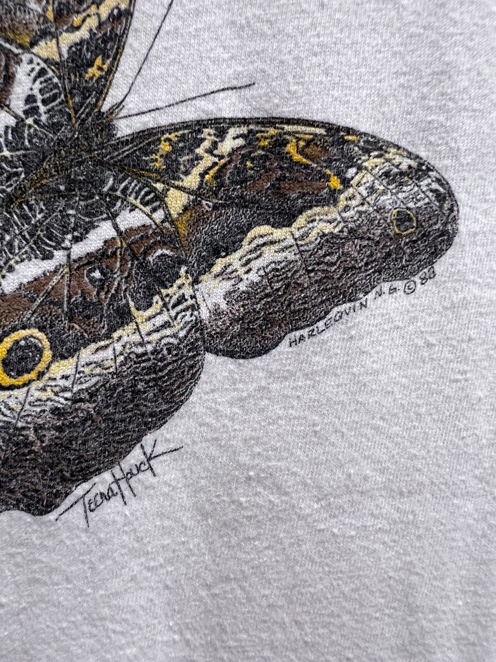 昆虫Tシャツ