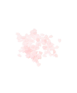 ぬいお花見セット（和）