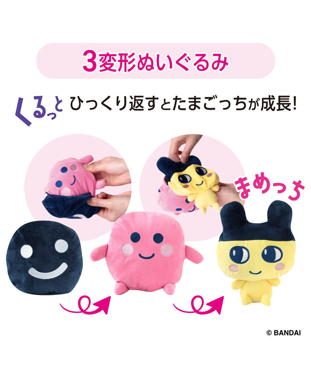 柄1(まめっち)