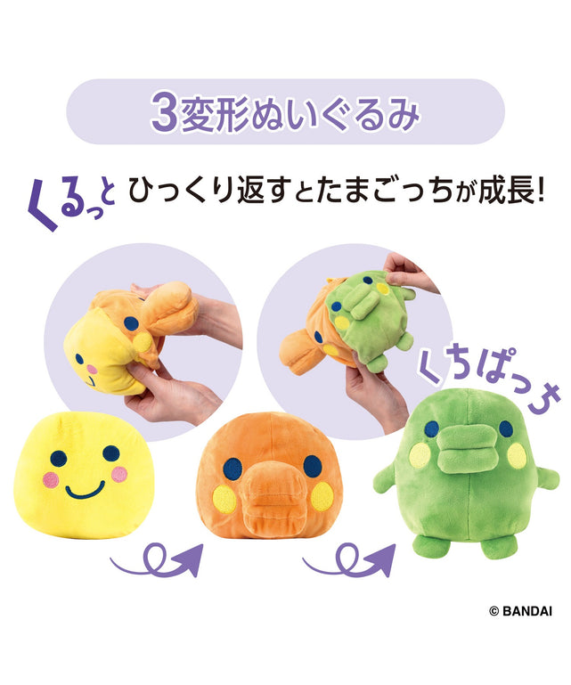 柄2(くちぱっち)