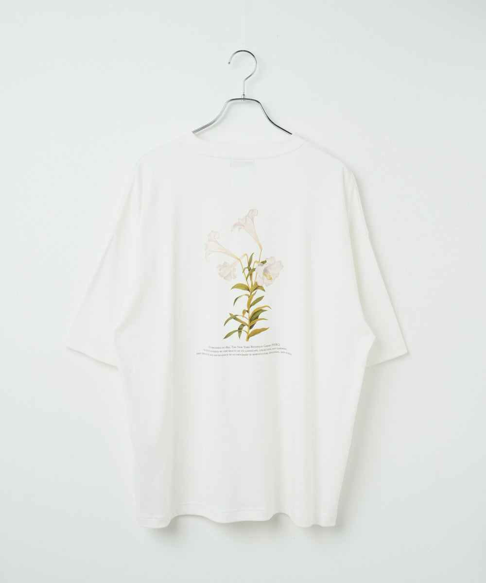 柄３