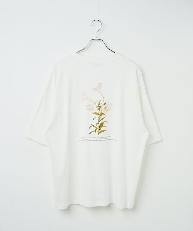 柄３