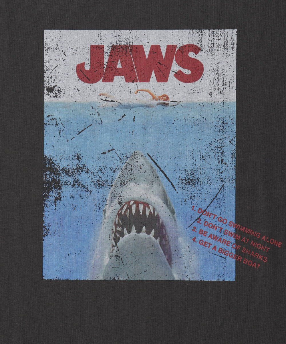 JAWSグラフィックT（S）