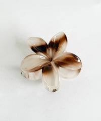 柄１ / F