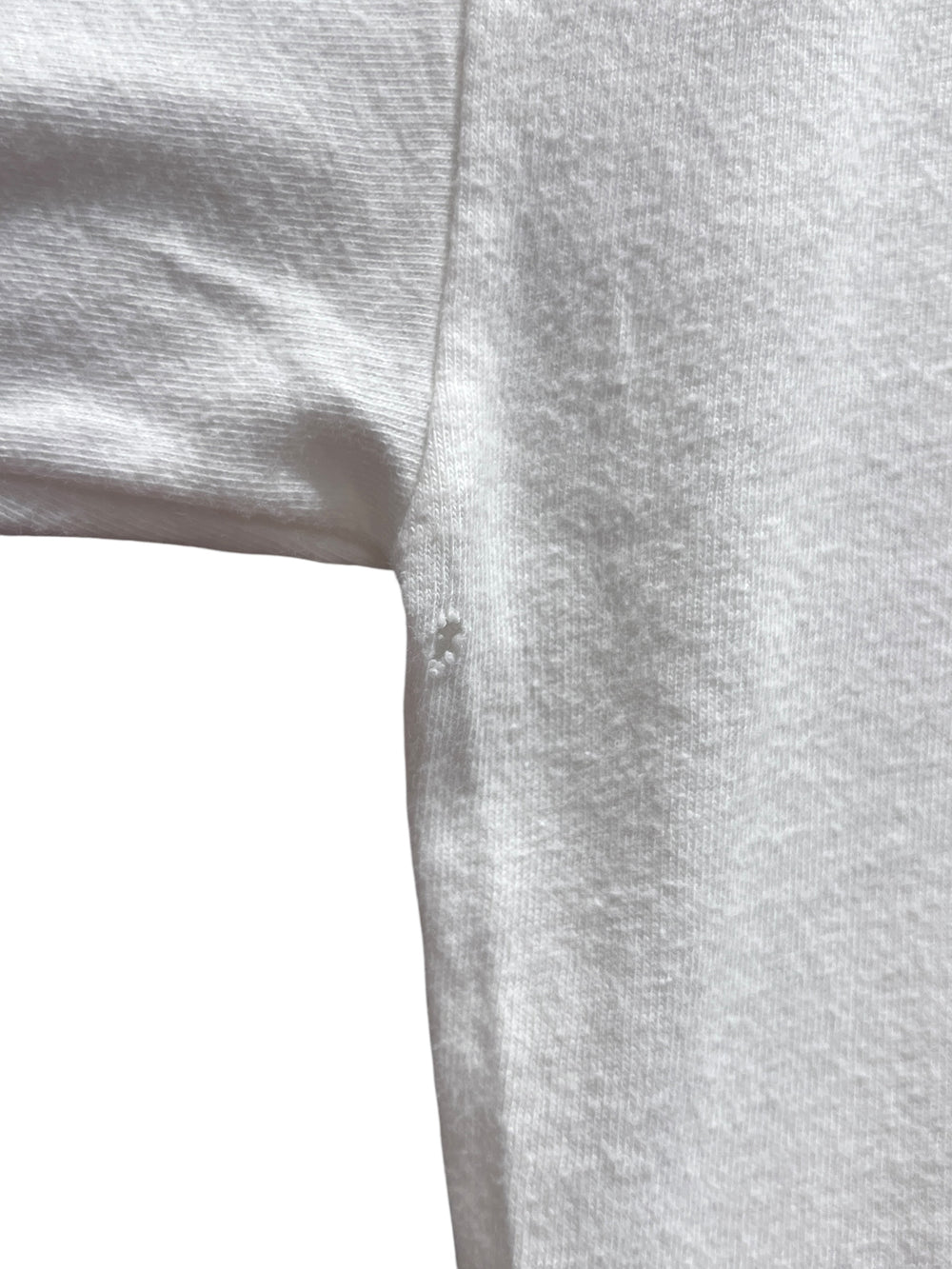 昆虫Tシャツ