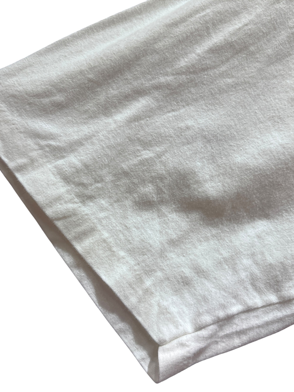 昆虫Tシャツ