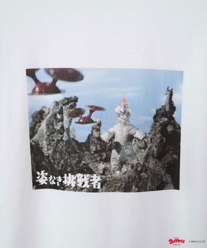 柄1