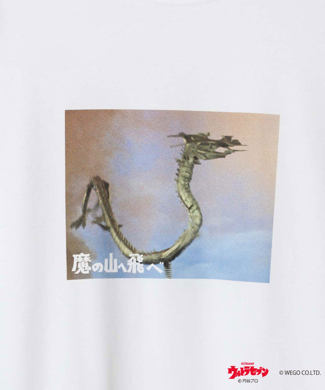 柄11