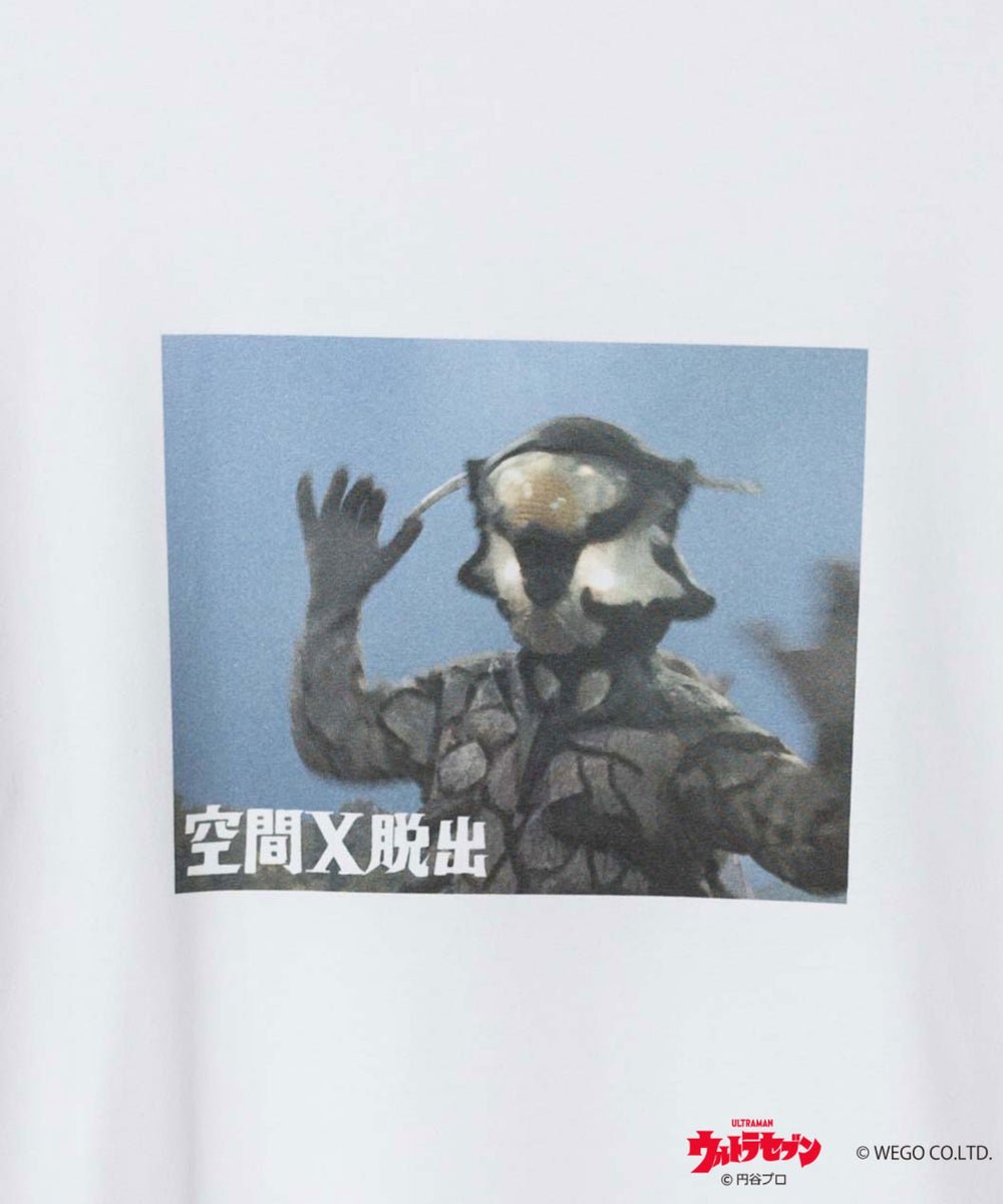 柄16