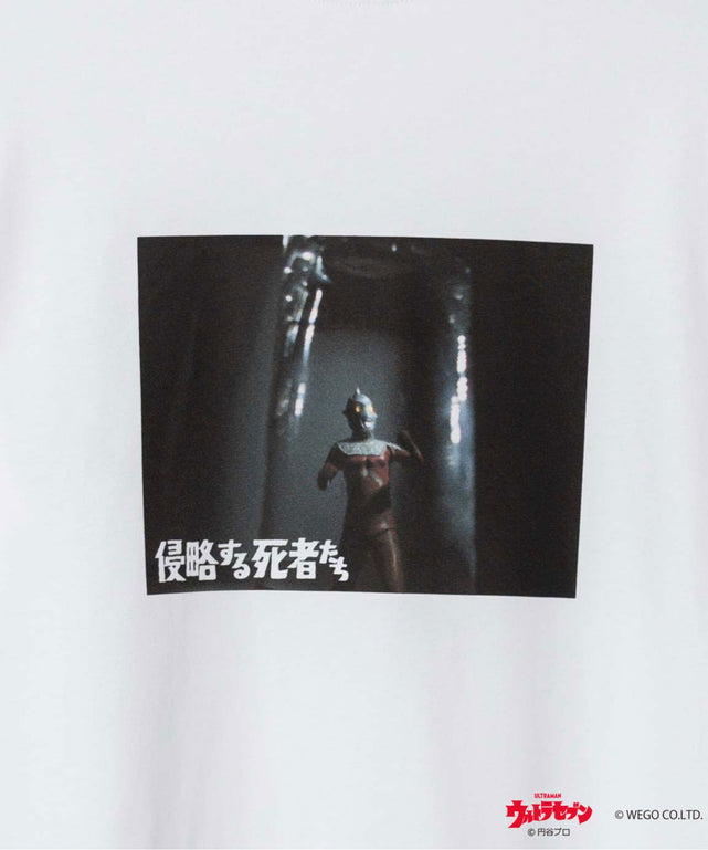 柄31