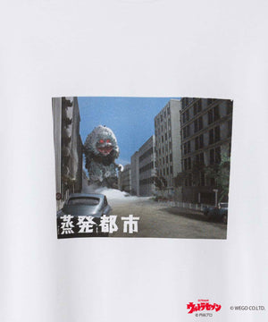 柄32
