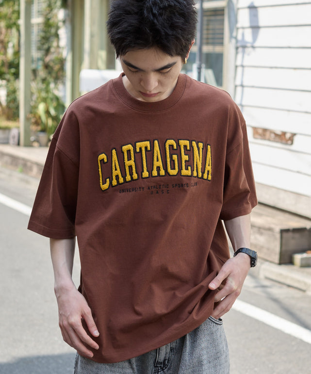 サガラワッペンロゴBIG　T（SS）/ブラウン モデル：180cm L着用