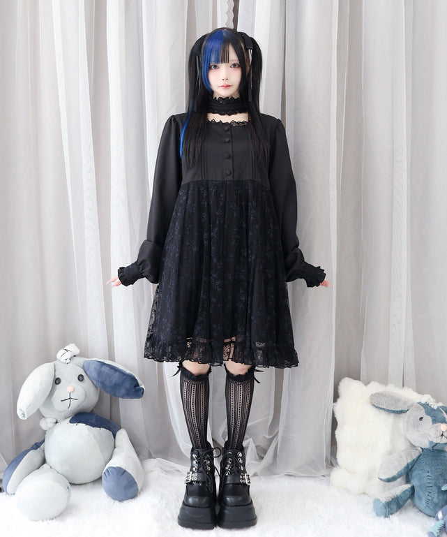 迷子の子猫姫