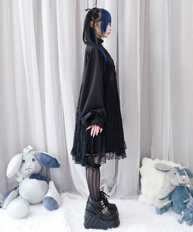 迷子の子猫姫