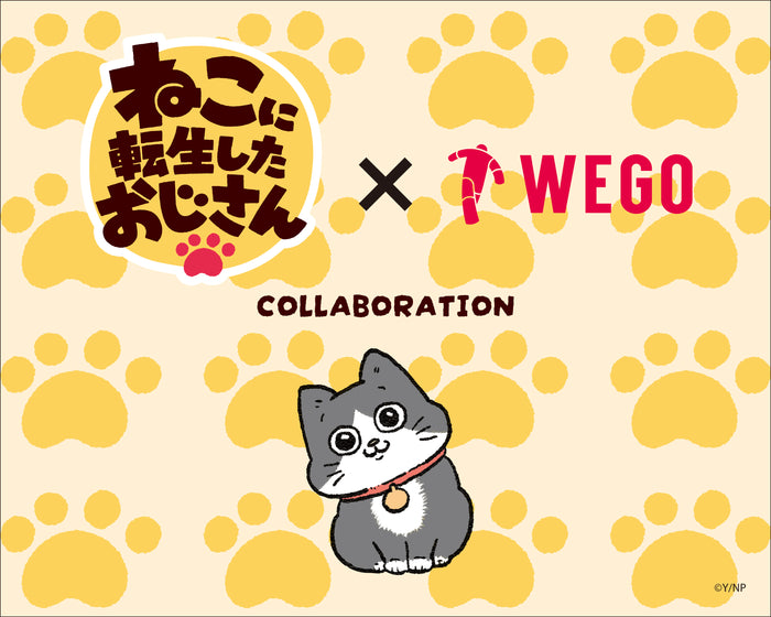 ねこに転生したおじさん×WEGO