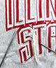 Champion リバース ILLINOIS STATE