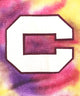 Champion タイダイ ノースリーブスウェット REVERSE WEAVE