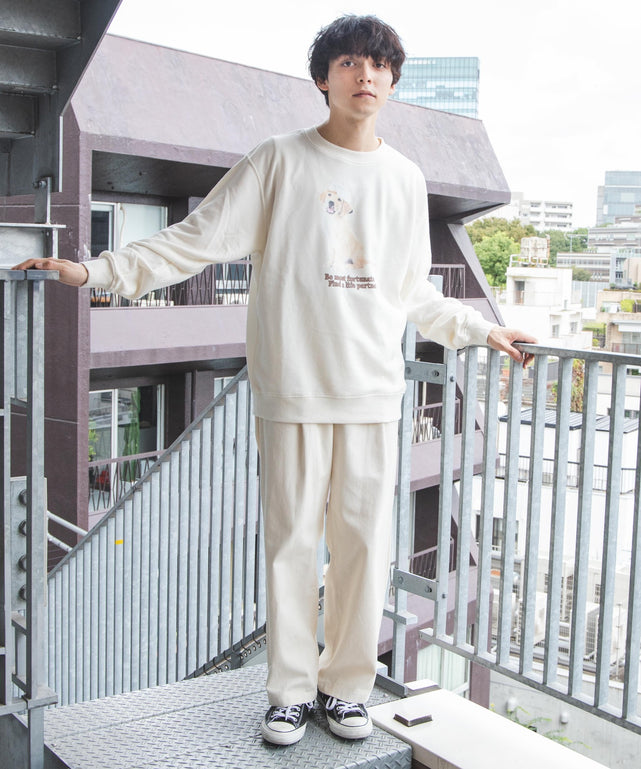 グラフィックプルオーバー2
