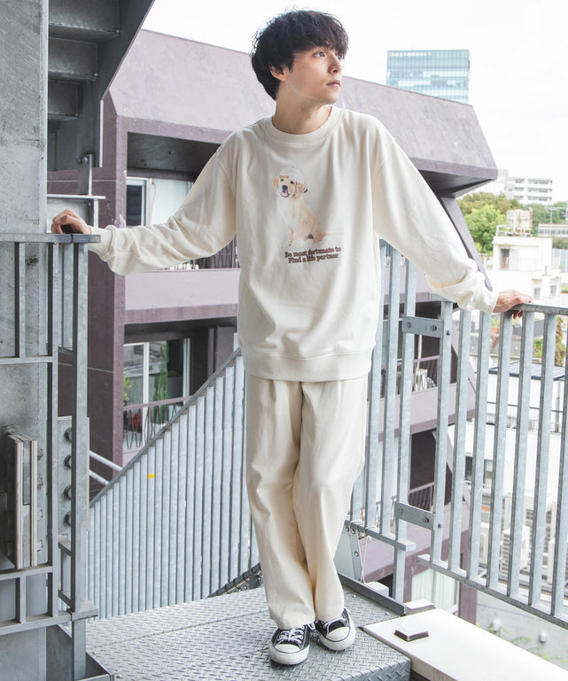 グラフィックプルオーバー2