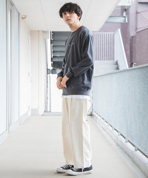 グラフィックプルオーバー2